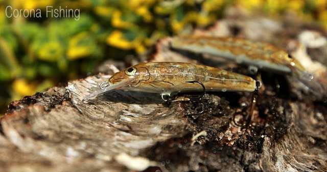 woblery pstrągowe - Bóbr, Kwisa